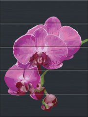 375 грн  Живопись по номерам ASW172 Раскраска по номерам на деревянной основе Бархатная орхидея
