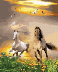 339 грн  Живопись по номерам BJX1075 Картина по номерам 40 х 50 см Пара лошадей (золотые краски)