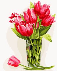 319 грн  Живопись по номерам AS0516 Картина-набор по номерам Яркие тюльпаны