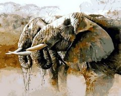 396 грн  Живопись по номерам MR-Q814 Раскраска по номерам Слоны на водопое худ. Карен Лоренс -Роу