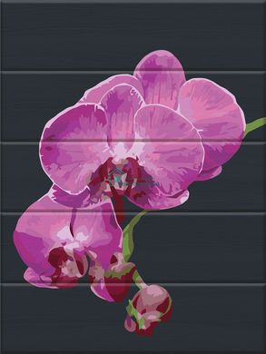 435 грн  Живопись по номерам ASW172 Раскраска по номерам на деревянной основе Бархатная орхидея