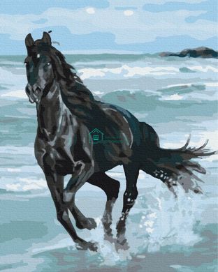 289 грн  Живопись по номерам BS29330 Картина по номерам 40 х 50 см Черная лошадь