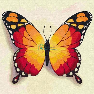 245 грн  Живопись по номерам KHO4210 Картина для рисования по номерам Оранжевая бабочка