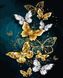 TN1023 Набір діамантової мозаїки на підрамнику Блискучі метелики