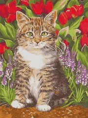 319 грн  Живопис за номерами AS0927 Набір для малювання по номерам Кіт у квітах