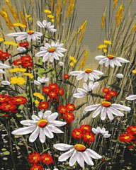 299 грн  Живопис за номерами BK-GX39323 Розмальовка для малювання по цифрам Польові квіти
