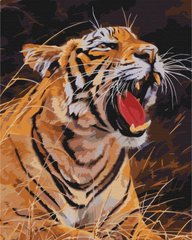 329 грн  Живопись по номерам BS52414 Раскраска по номерам Рев тигра 40 х 50 см