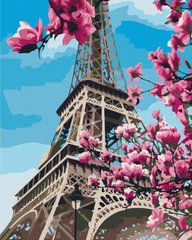 289 грн  Живопис за номерами BS32320 Картина за номерами 40 х 50 см Цвітіння магнолій у Парижі
