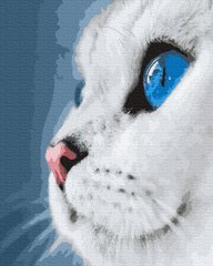 339 грн  Живопис за номерами BK-GX39255 Розмальовка для малювання по цифрам Блакитноокий кіт