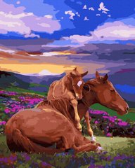 339 грн  Живопись по номерам BK-GX40082 Раскраска для рисования по цифрам Свободные лошади