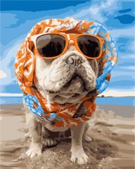 319 грн  Живопис за номерами AS1028 Набір розмальовка за номерами Собака на пляжі