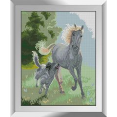 855 грн  Алмазная мозаика 31260 Лошадь и собака Набор алмазной живописи