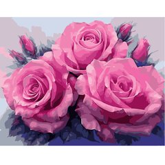 395 грн  Живопис за номерами VA-1579 Набір для розпису по номерах Три рожеві троянди