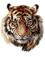459 грн  Живопись по номерам VP1018 Раскраска по номерам Царственный тигр
