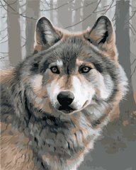 319 грн  Живопись по номерам AS0879 Набор для рисования по номерам Одинокий волк