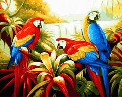 339 грн  Живопис за номерами BK-GX41873 Картина за номерами Папуги в тропіках