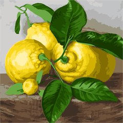 255 грн  Живопис за номерами AS1079 Набір розмальовка за номерами Три лимона