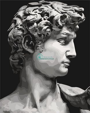 299 грн  Живопись по номерам KH4617 Картина-раскраска Давид Микеланджело