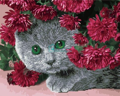 550 грн  Діамантова мозаїка GZS1093 Кіт в квітах Розмальовка-мозаїка, набір для творчості
