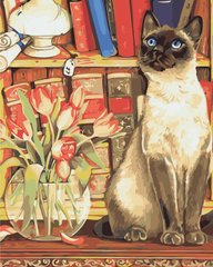 319 грн  Живопись по номерам AS0881 Набор для рисования по номерам Кошка с тюльпанами