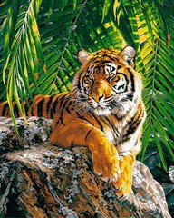 459 грн  Живопись по номерам VP461 Раскраска по номерам Суматранская тигрица Худ Страйблинг Девид