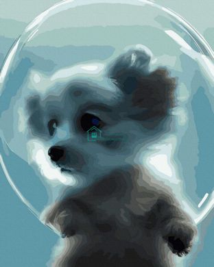 339 грн  Живопис за номерами ANG233 Картина по цифрам Собака в мильній бульбашці 40 х 50 см