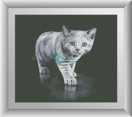 695 грн  Алмазная мозаика 30146 Набор алмазной мозаики Серый котенок