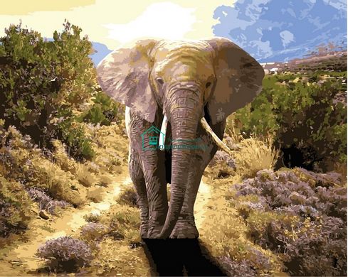 459 грн  Живопись по номерам VP1440 Картина по номерам Величественный слон 40 х 50 см