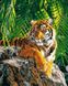 VP461 Раскраска по номерам Суматранская тигрица Худ Страйблинг Девид