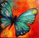 DM-182 Набор алмазной живописи Рисунок бабочки