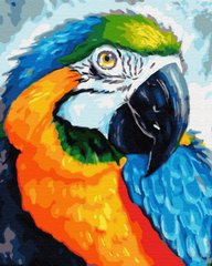 329 грн  Живопись по номерам BK-GX33153 Раскраска по номерам Красочный попугай