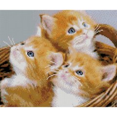 557 грн  Діамантова мозаїка Алмазна картина HX110 Кошик з кошенятами, розміром 30х40 см