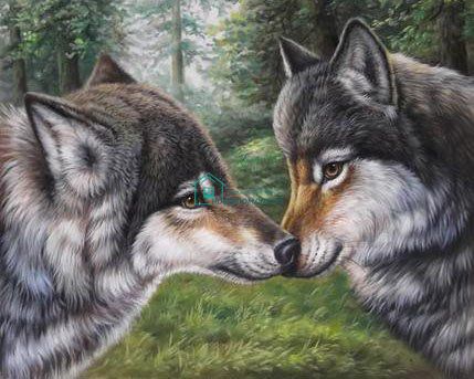 770 грн  Алмазная мозаика DMP-271 Набор алмазной живописи на подрамнике Влюбленные волки