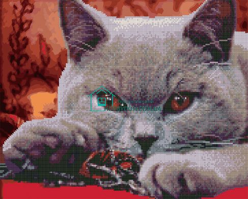 550 грн  Діамантова мозаїка GZS1161 Розмальовка-мозаїка, набір для творчості на підрамнику Сірий кіт