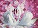 EJ1046 Набір алмазної мозаїки на підрамнику Білі лебеді