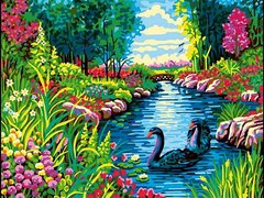 339 грн  Живопись по номерам VK264 Картина-раскраска по номерам Черные лебеди