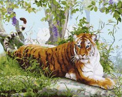 339 грн  Живопис за номерами BK-GX36523 Картина-розмальовка за номерами Амурський тигр