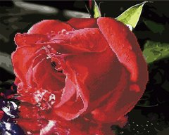 550 грн  Діамантова мозаїка GZS1074 Рожева троянда Розмальовка-мозаїка, набір для творчості