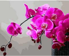 339 грн  Живопис за номерами BK-GX28314 Набір для рисования по номерам Пурпурова орхідея