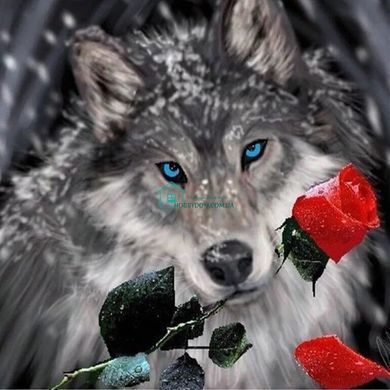 650 грн  Алмазная мозаика DMP-272 Набор алмазной живописи на подрамнике Волк с розой
