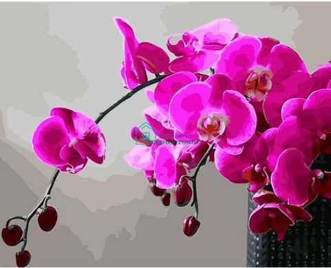 339 грн  Живопись по номерам BK-GX28314 Набор для рисования по номерам Пурпурная орхидея