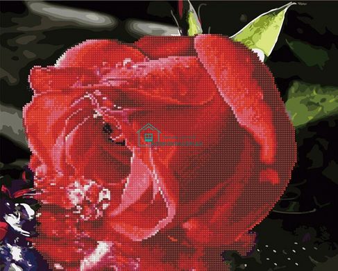 550 грн  Діамантова мозаїка GZS1074 Рожева троянда Розмальовка-мозаїка, набір для творчості