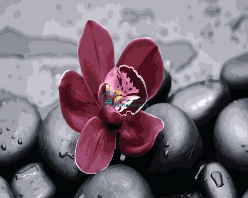 279 грн  Живопись по номерам BK-GX26622 Орхидея в камнях Набор-картина по номерам