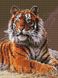 EJ1031 Набір алмазної мозаїки на підрамнику Величавий тигр