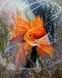 КДИ-1235 Набор алмазной вышивки-мозаики Золотая рыбка – Загадай желание!