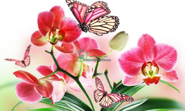 680 грн  Алмазная мозаика КДИ-0504 Набор алмазной вышивки Орхидея и бабочки