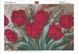 КДИ-0645 Набор алмазной вышивки Красные тюльпаны. Художник Douglas Frasquetti