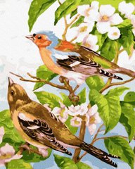 329 грн  Живопис за номерами BK-GX32145 Набір для малювання картини за номерами Весняні пташечки