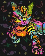 329 грн  Живопись по номерам BK-GX39229 Набор для рисования картины по номерам Неоновая кошка