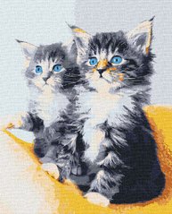 295 грн  Живопись по номерам 11617-AC Картина-раскраска по цифрам Голубоглазые котята